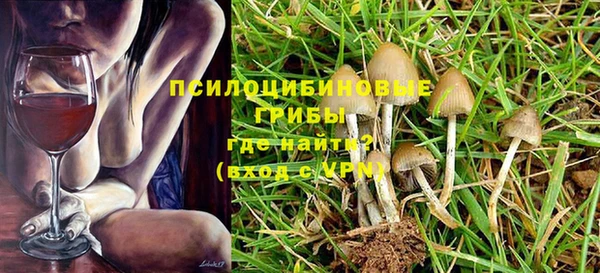 ГАЛЛЮЦИНОГЕННЫЕ ГРИБЫ Алексин