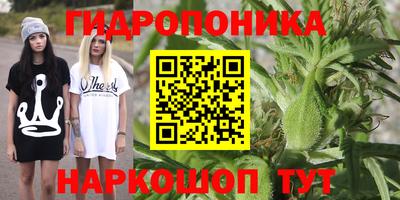 PSILOCYBIN Коммунар