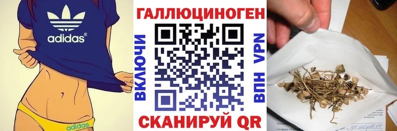 darknet наркотические препараты Лениногорск Галлюциногенные грибы GOLDEN TEACHER как найти закладки