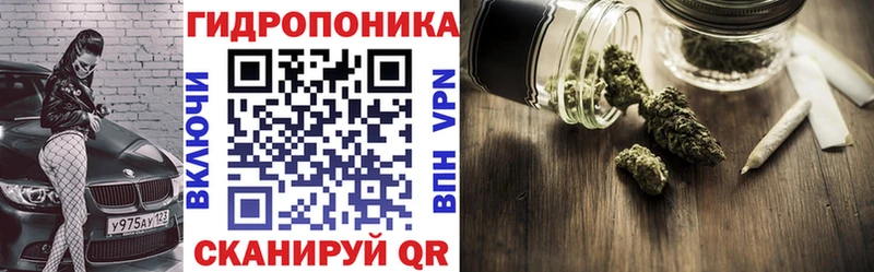 Канабис MAZAR  купить закладку  Лениногорск 